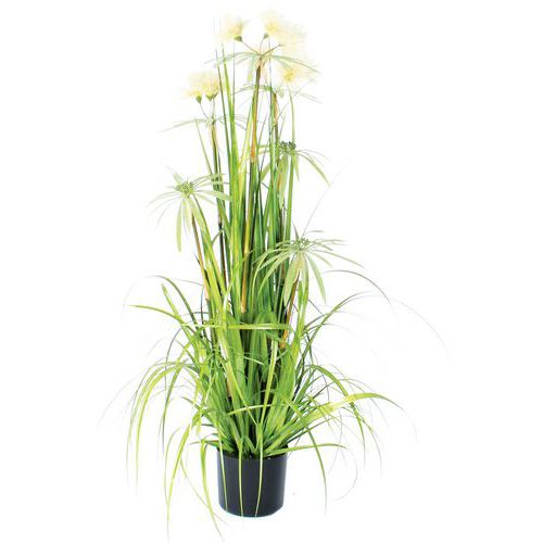 Trawa wiechlinowata 120 cm – Vepabins