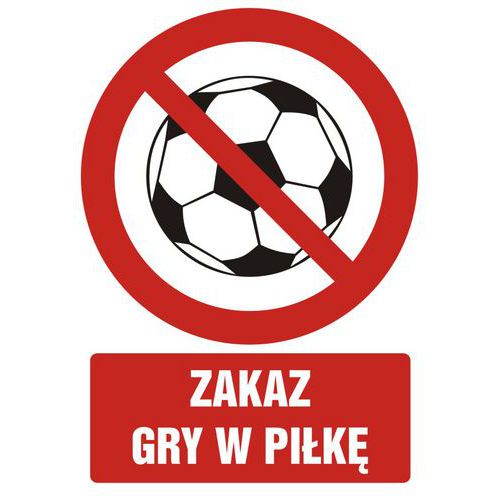 Zakaz gry w piłkę